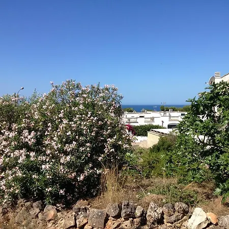 Del Mare Patù